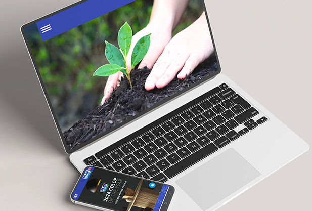 Thiết kế website ngành sơn